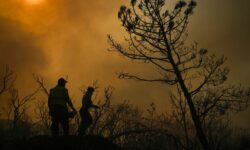 Πάνω από 50.000 άνθρωποι απομακρύνθηκαν από τα σπίτια τους στην Σμύρνη, λόγω της φωτιάς