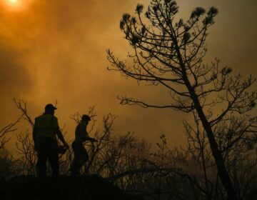 Πάνω από 50.000 άνθρωποι απομακρύνθηκαν από τα σπίτια τους στην Σμύρνη, λόγω της φωτιάς