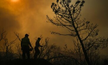 Πάνω από 50.000 άνθρωποι απομακρύνθηκαν από τα σπίτια τους στην Σμύρνη, λόγω της φωτιάς