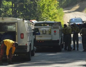 ΗΠΑ: Ταυτοποιήθηκε ο δράστης που δολοφόνησε δυο πυροσβέστες στην πολιτεία Άινταχο