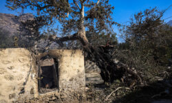 Ξεκίνησε η καταγραφή της καταστροφής από την φωτιά στην Ιεράπετρα  – Σοκαρισμένοι οι τουρίστες