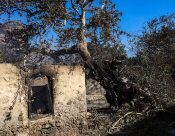 Ξεκίνησε η καταγραφή της καταστροφής από την φωτιά στην Ιεράπετρα  – Σοκαρισμένοι οι τουρίστες