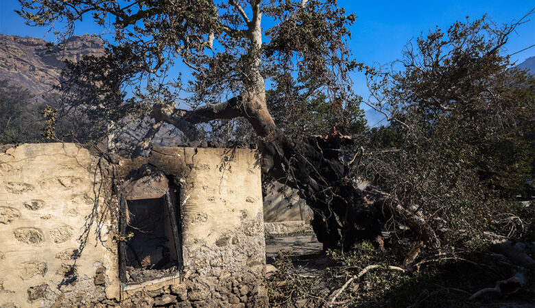 Ξεκίνησε η καταγραφή της καταστροφής από την φωτιά στην Ιεράπετρα  – Σοκαρισμένοι οι τουρίστες
