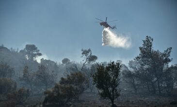 Μεγάλη φωτιά στο Κορωπί: Ήχησε το 112, εκκενώνονται τρεις οικισμοί – Δείτε βίντεο