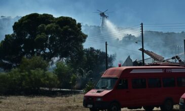Σε ύφεση η φωτιά στο Κορωπί – Οι φλόγες πέρασαν μέσα από κατοικημένες περιοχές