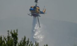 Σε ύφεση η φωτιά στην Εύβοια – Επιχειρούν τα εναέρια μέσα