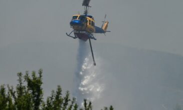 Σε ύφεση η φωτιά στην Εύβοια – Επιχειρούν τα εναέρια μέσα