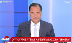 Γεωργιάδης: Ο Ανδρουλάκης θέλει να γίνει ο κακός ΣΥΡΙΖΑ του 2015 – Η τεχνική λύση για τα βοσκοτόπια είναι από νυν σύμβουλό του