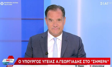 Γεωργιάδης: Ο Ανδρουλάκης θέλει να γίνει ο κακός ΣΥΡΙΖΑ του 2015 – Η τεχνική λύση για τα βοσκοτόπια είναι από νυν σύμβουλό του