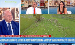 Τσιάρας για ΟΠΕΚΕΠΕ: Όλες οι καταγγελίες που έχουν φτάσει στο υπουργείο έχουν διαβιβαστεί στην ευρωπαϊκή εισαγγελία