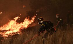 Ξέσπασε φωτιά στον Ωρωπό – Επιχειρούν 21 εναέρια πυροσβεστικά – Μήνυμα του 112