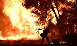 Νύχτα «κόλασης» στον Ωρωπό – «Η φωτιά είναι κοντά στον οικισμό Ασπροχωρίου», είπε ο δήμαρχος