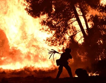 Νύχτα «κόλασης» στον Ωρωπό – «Η φωτιά είναι κοντά στον οικισμό Ασπροχωρίου», είπε ο δήμαρχος