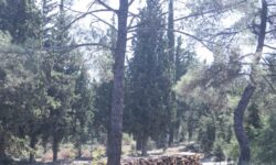 Παρατείνεται έως την Παρασκευή η απαγόρευση διέλευσης στο Σέιχ Σου