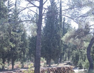 Παρατείνεται έως την Παρασκευή η απαγόρευση διέλευσης στο Σέιχ Σου