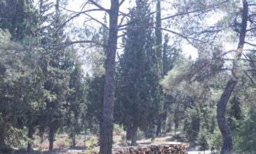 Παρατείνεται έως την Παρασκευή η απαγόρευση διέλευσης στο Σέιχ Σου