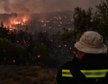 Μέσω myAADE οι δηλώσεις απαλλαγής ΕΝΦΙΑ για τις πυρκαγιές του 2025
