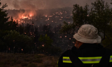 Μέσω myAADE οι δηλώσεις απαλλαγής ΕΝΦΙΑ για τις πυρκαγιές του 2025