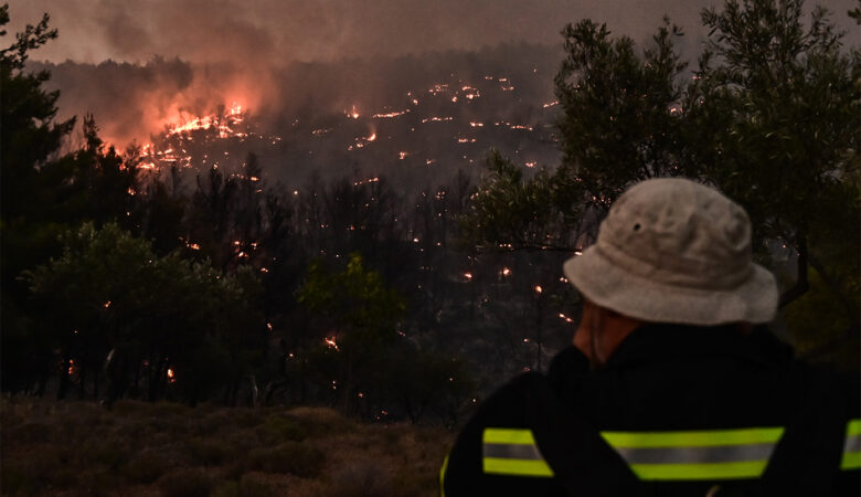 Μέσω myAADE οι δηλώσεις απαλλαγής ΕΝΦΙΑ για τις πυρκαγιές του 2025