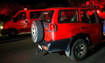 Ξέσπασε φωτιά στην Φυλή – Πνέουν ισχροί άνεμοι