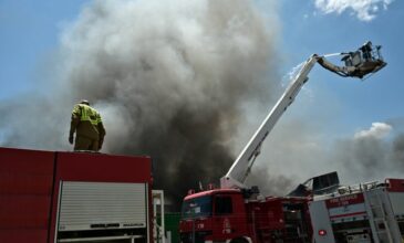 Καίγεται εργοστάσιο στην Αυλίδα: Έκτακτα μέτρα από την Περιφέρεια Στερεάς Ελλάδας για τους τοξικούς καπνούς