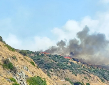 Χωρίς ενεργό μέτωπο η φωτιά στο Λάχι Λακωνίας
