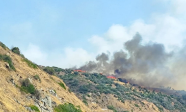 Χωρίς ενεργό μέτωπο η φωτιά στο Λάχι Λακωνίας