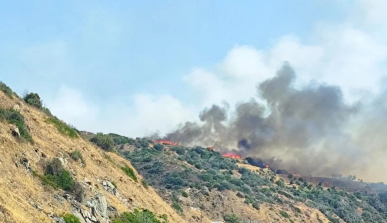 Χωρίς ενεργό μέτωπο η φωτιά στο Λάχι Λακωνίας