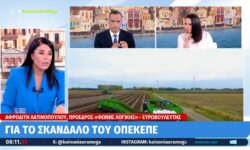 Λατινοπούλου: «Όπως έρχονται οι μετανάστες να τους βάζουμε σε λεωφορεία και κατευθείαν Βρυξέλλες»