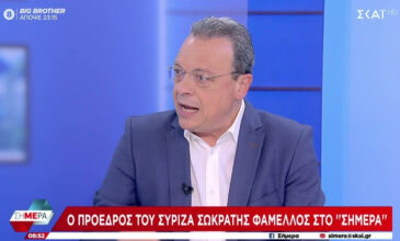 Φάμελλος: Στο θέμα της Λιβύης η Ελλάδα έχει σοβαρότατες υποχωρήσεις στη διπλωματική πολιτική της τα τελευταία έξι χρόνια