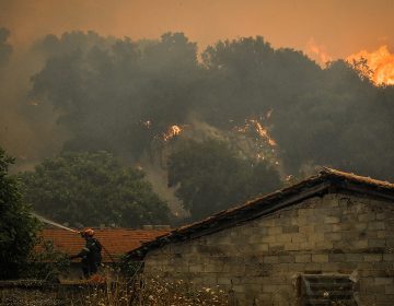 Περιορισμένη αναζωπύρωση της φωτιάς στον Φενεό Κορινθίας