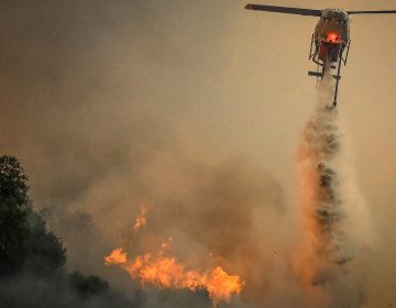 Φωτιά στη Ροδόπη – Σηκώθηκαν εναέρια μέσα