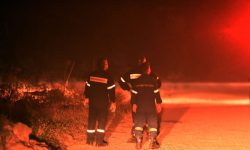 Δίωξη σε βαθμό κακουργήματος στους δύο συλληφθέντες για την φωτιά στον Φενεό Κορινθίας