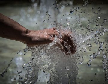 Καύσωνας έως και την Κυριακή με το θερμόμετρο να αγγίζει τους 43 βαθμούς