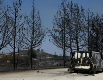Ενισχύσεις από ΕΕ και Αίγυπτο στην Κύπρο για την κατάσβεση της φωτιάς στην επαρχία Λεμεσού