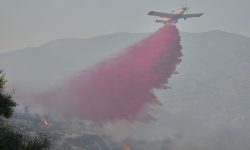 Χωρίς ενεργά μέτωπα η φωτιά στην Λεμεσό