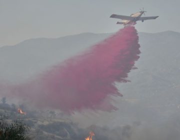 Χωρίς ενεργά μέτωπα η φωτιά στην Λεμεσό