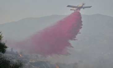 Χωρίς ενεργά μέτωπα η φωτιά στην Λεμεσό