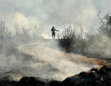 Μαίνεται ο πύρινος εφιάλτης στη Λεμεσό: 100.000 στρέμματα στάχτη – Νέες αναζωπυρώσεις και αρκετά καμένα σπίτια