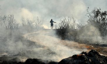 Μαίνεται ο πύρινος εφιάλτης στη Λεμεσό: 100.000 στρέμματα στάχτη – Νέες αναζωπυρώσεις και αρκετά καμένα σπίτια