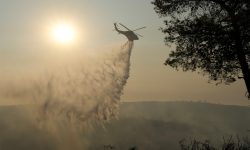 Σε ύφεση η φωτιά στη Λεμεσό – Κατέφθασαν δασοκομάντος από την Ελλάδα