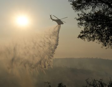 Σε ύφεση η φωτιά στη Λεμεσό – Κατέφθασαν δασοκομάντος από την Ελλάδα