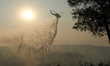 Σε ύφεση η φωτιά στη Λεμεσό – Κατέφθασαν δασοκομάντος από την Ελλάδα