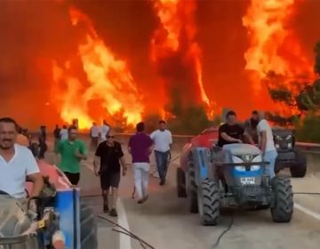 Τέσσερις μεγάλες πυρκαγιές στην Τουρκία – Σκοτώθηκαν πυροσβέστες και εθελοντές, εκκενώθηκαν χωριά