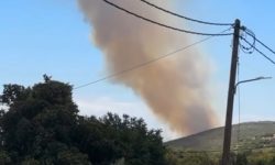 Φωτιά στην Αγιά Λάρισας – Επιχειρούν έξι εναέρια μέσα