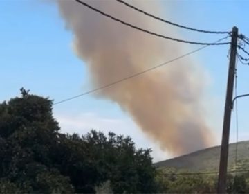 Φωτιά στην Αγιά Λάρισας – Επιχειρούν έξι εναέρια μέσα