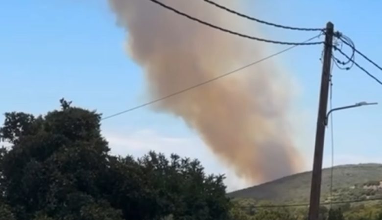 Φωτιά στην Αγιά Λάρισας – Επιχειρούν έξι εναέρια μέσα