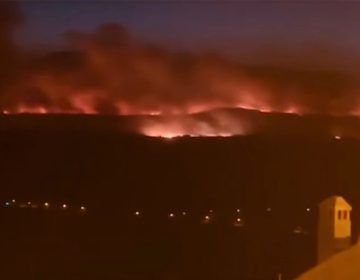 Πολλαπλές δασικές πυρκαγιές στην Πορτογαλία