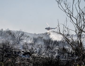 Φωτιά στην Πολυτεχνειούπολη Ζωγράφου: Πώς οριοθετήθηκε σε λιγότερο από 20 λεπτά, χάρη στα drones και την άμεση επέμβαση της Πυροσβεστικής