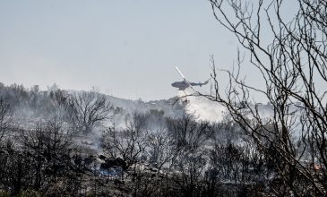 Φωτιά στην Πολυτεχνειούπολη Ζωγράφου: Πώς οριοθετήθηκε σε λιγότερο από 20 λεπτά, χάρη στα drones και την άμεση επέμβαση της Πυροσβεστικής